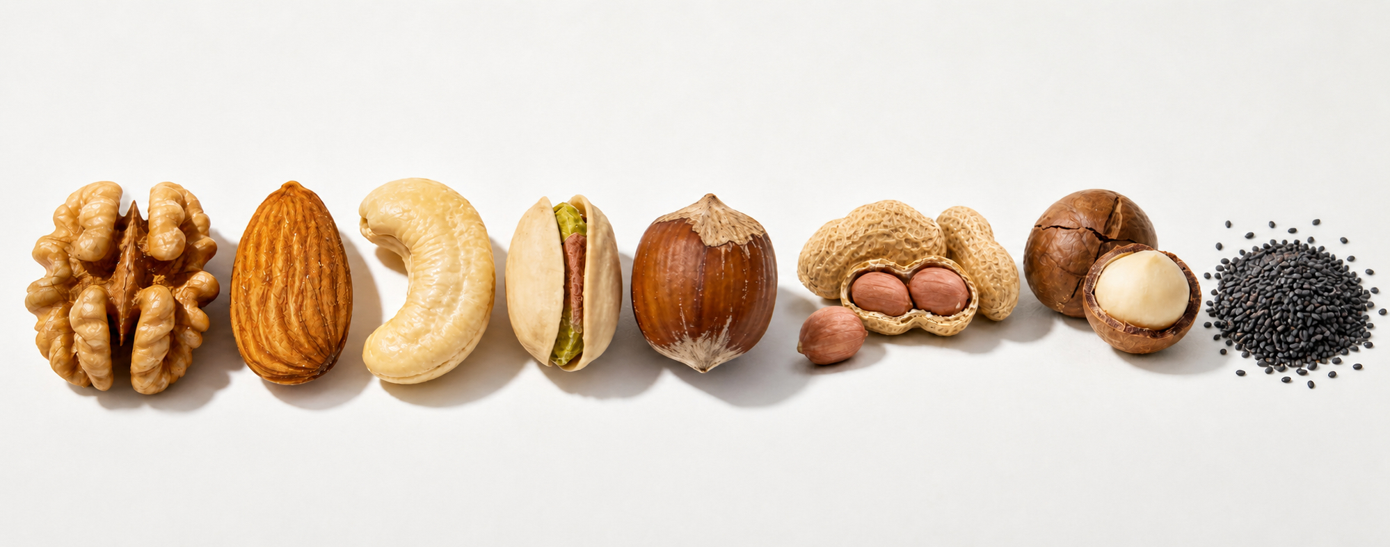 Illustrative selection of nuts and seeds for HNB-2800 inquiry planning